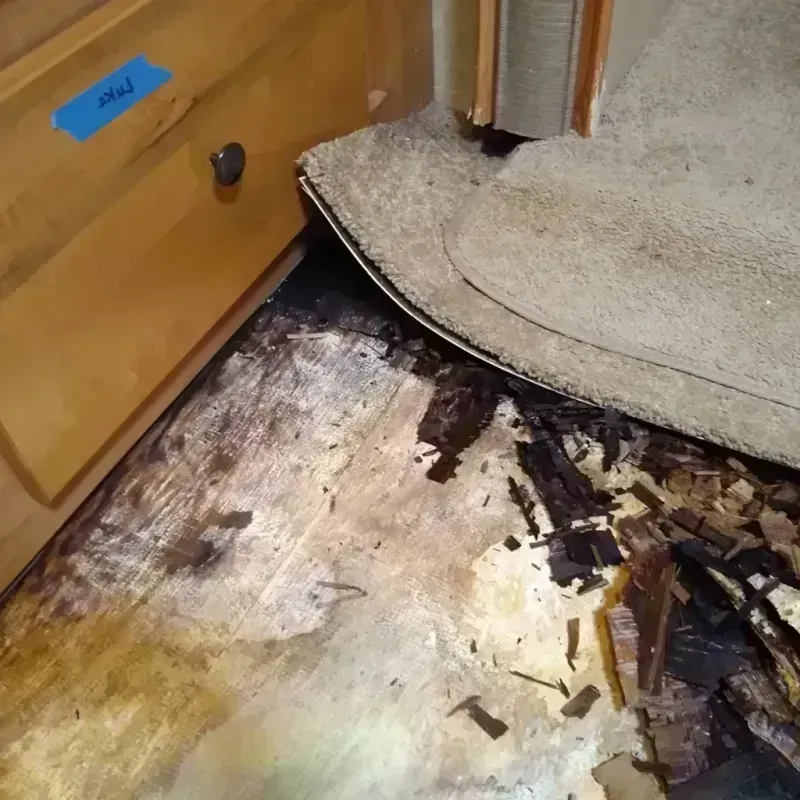 Wood Floor Water Damage in Scottsdale, AZ